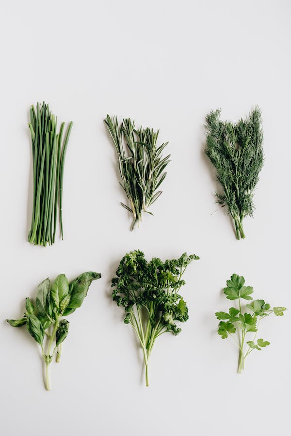 Foto meramente ilustrativa para bouquet de garni